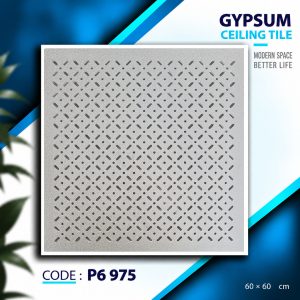P6 975