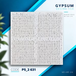 P5_2 631
