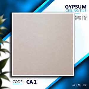 CA 1